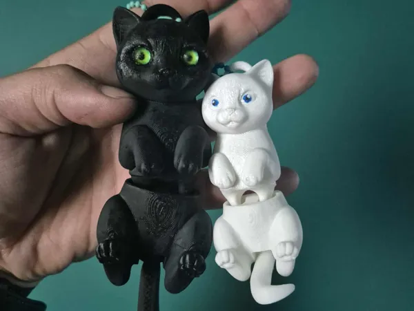 https://makerworld.bblmw.com/makerworld/model/US5a690ccb61494e/design/2025-08-28_f44b411b82f58.jpg