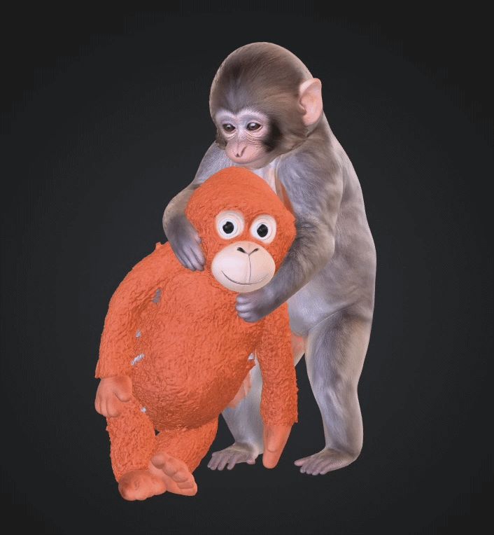 Punch the Monkey Hugging His Plushie Viral Macaque