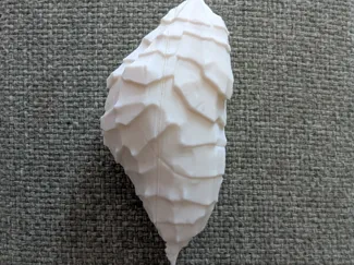 Akata Cocoon Starfinder