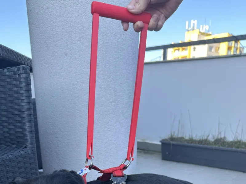 Senior Dog Mobility Support Handle Leash