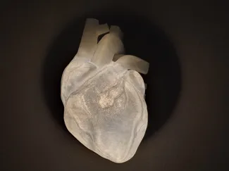 Heartlamp