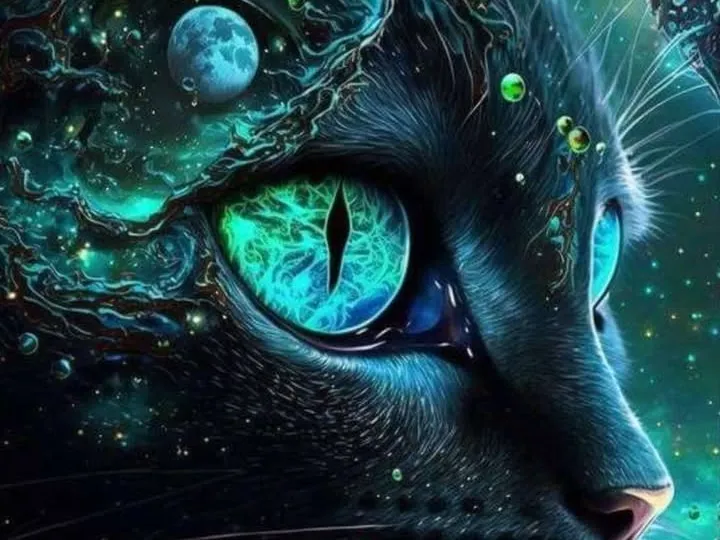 Galaxy Kitty