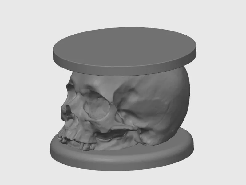 Skull between - base