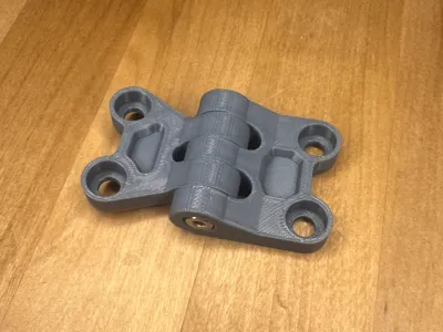 Door Hinge 