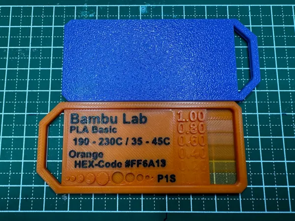 https://makerworld.bblmw.com/makerworld/model/US5a80985c7c696e/design/2024-03-28_02d7d5698df298.jpeg