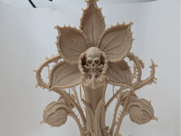 https://makerworld.bblmw.com/makerworld/model/US5a834a29eb97d/design/17b80dd7b700ee70.jpg