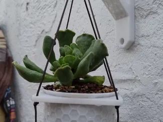 Hanging Planter Set