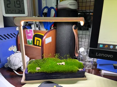 Desktop Plant Moss Lamp