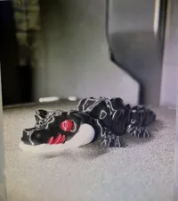 single color croc