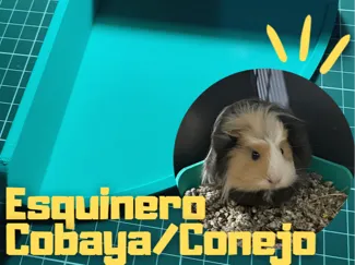 Esquinero Cobaya - Conejo