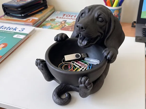 https://makerworld.bblmw.com/makerworld/model/US5a955dfaa9a18b/design/bd143214b7946b1b.png