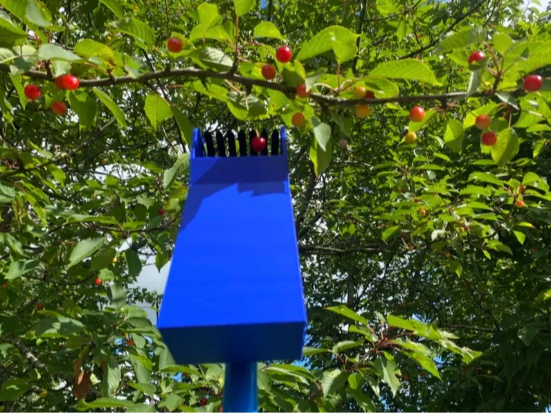 Cherry /(berry) picker
