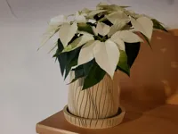 90 mm pot version