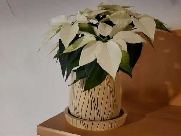 https://makerworld.bblmw.com/makerworld/model/US5a96bd10749ab2/design/2025-01-03_ae70e0f750e15.jpg