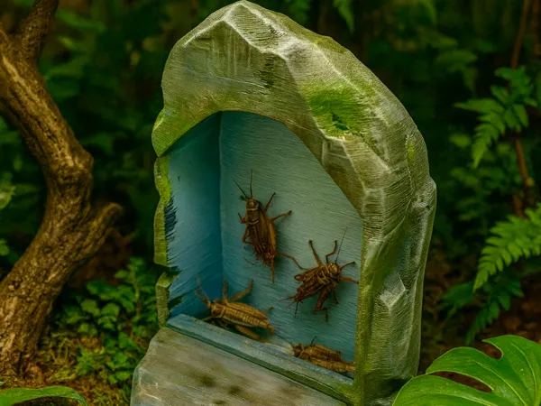 https://makerworld.bblmw.com/makerworld/model/US5a976148c7d0e4/design/2025-08-19_c5975d0a9e4d38.jpeg