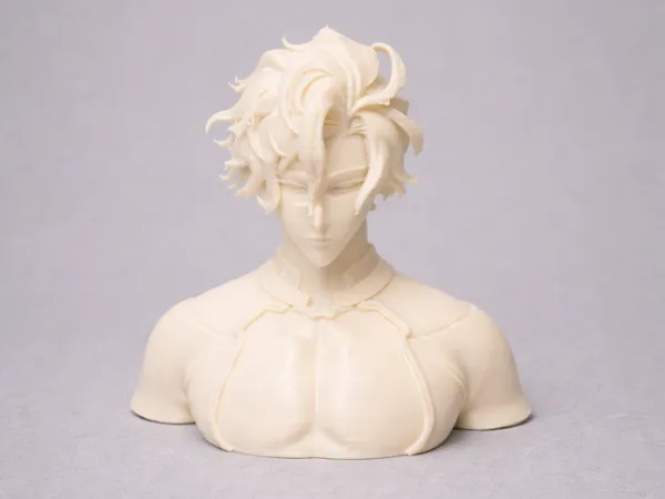 https://makerworld.bblmw.com/makerworld/model/US5a9a0bdb923f76/design/96f20f726cfc002e.png