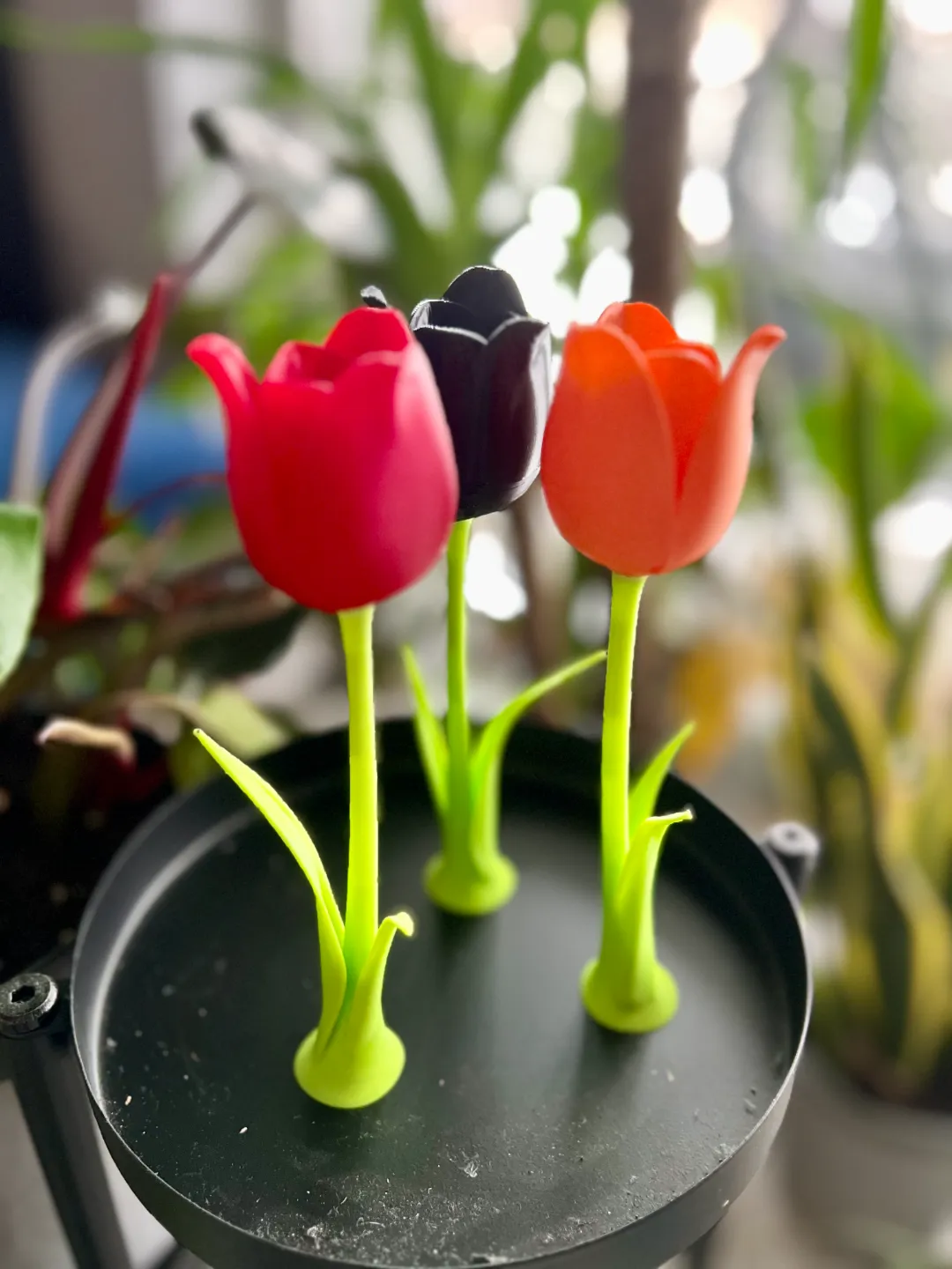 Lovely Tulip with Stem, Blooming Perfection view 3