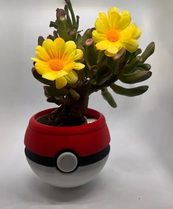 https://makerworld.bblmw.com/makerworld/model/US5a9d30b2696c70/design/2024-06-07_415a2b738e328.jpg