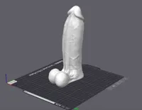 Godemiché - 3 versions (classique, bondage, souple) — photo 2
