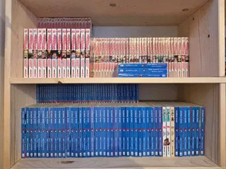 Manga Riser for custom library