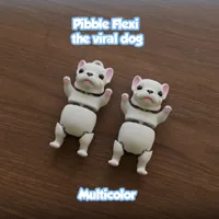 Pibble articulé multicolore, le chien viral — photo 4