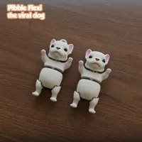 Pibble articulé multicolore, le chien viral — photo 5