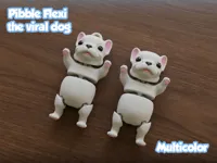 Pibble articulé multicolore, le chien viral — photo 1