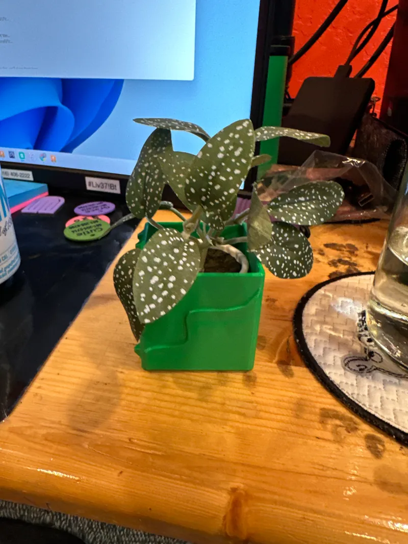 Succulent Emotion Planter