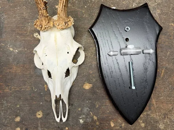 https://makerworld.bblmw.com/makerworld/model/US5ab0c12200d323/design/b1c5d9ed4ae9f777.jpg