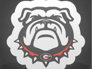UGA Bulldog Lightbox
