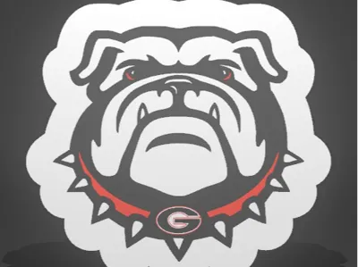 UGA Bulldog Lightbox