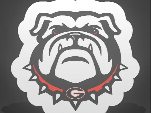 UGA Bulldog Lightbox
