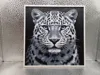 Amur Leopard_170x170_A1 Mini