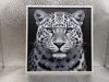Amur Leopard_170x170_A1