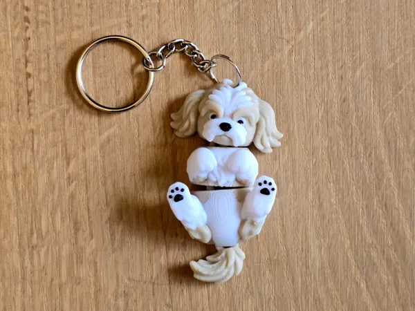 https://makerworld.bblmw.com/makerworld/model/US5ac5119d080a3a/design/9826384bda549e54.jpg