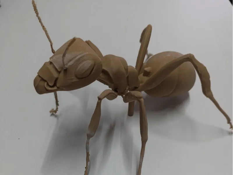 ANT