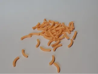 Mini saucisse