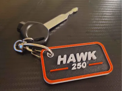 Hawk 250 key chain