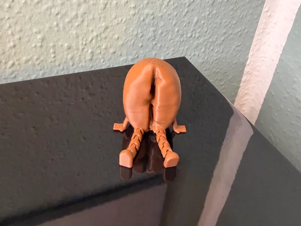 https://makerworld.bblmw.com/makerworld/model/US5ad0d094b499a8/design/0c07651653c58a08.jpeg