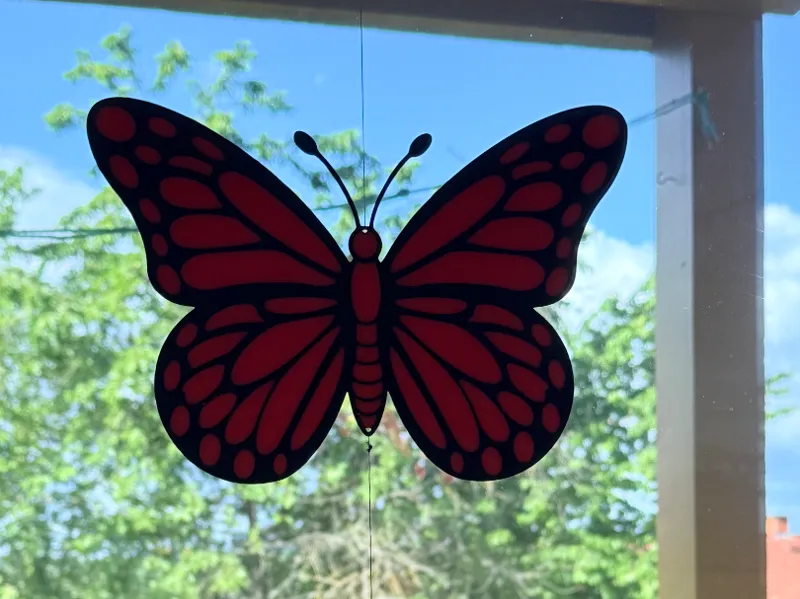 butterfly