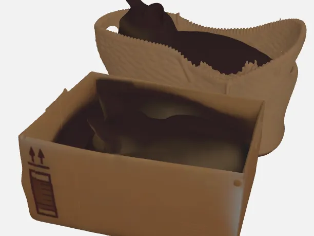 CATS IN A BOX