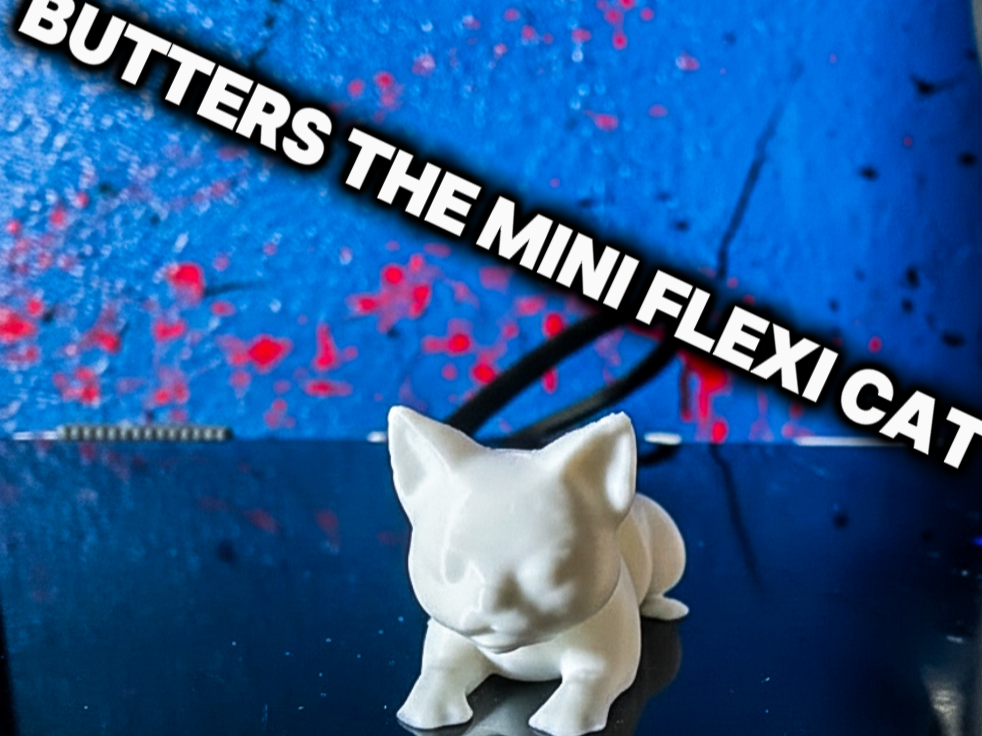 Butters the flexi cat