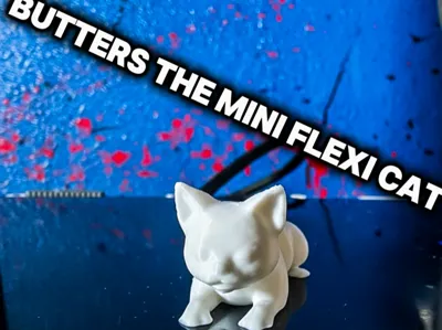 Butters the flexi cat