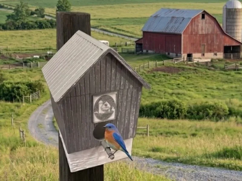 FARM BARN BIRD HOUSE W/ BARN QUILT  - BIRDHOUSE