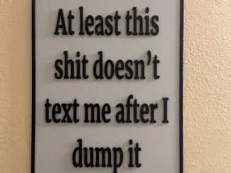 At least this sh*t doesn't text me after I dump it