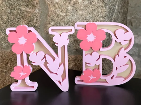 https://makerworld.bblmw.com/makerworld/model/US5ae543599f1e1b/design/82972ca66a021538.jpeg