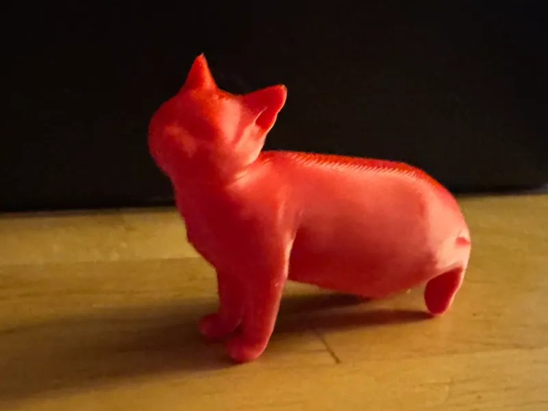 Cat (Free to Sell)