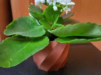 the lidl mini vase 6cm