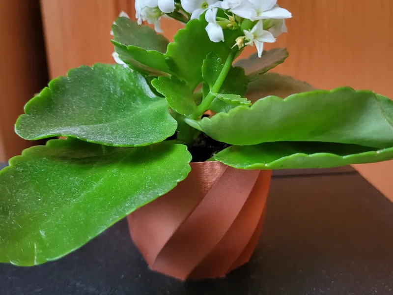 the lidl mini vase 6cm