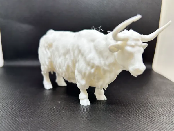 https://makerworld.bblmw.com/makerworld/model/US5aece68b3fa012/design/2024-12-24_f524b2286126.jpeg
